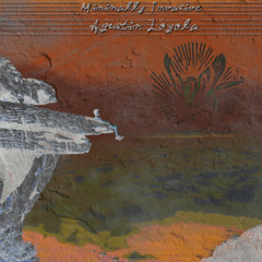 Minimally Invasive 058 Agustin Loyola (Miami)