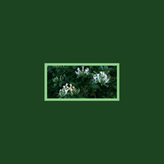 1. COAST