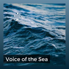 Dance with the Waves