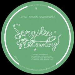 PREMIERE: HATT.D - You Were There (Absence Mix) [Sengiley Recordings]