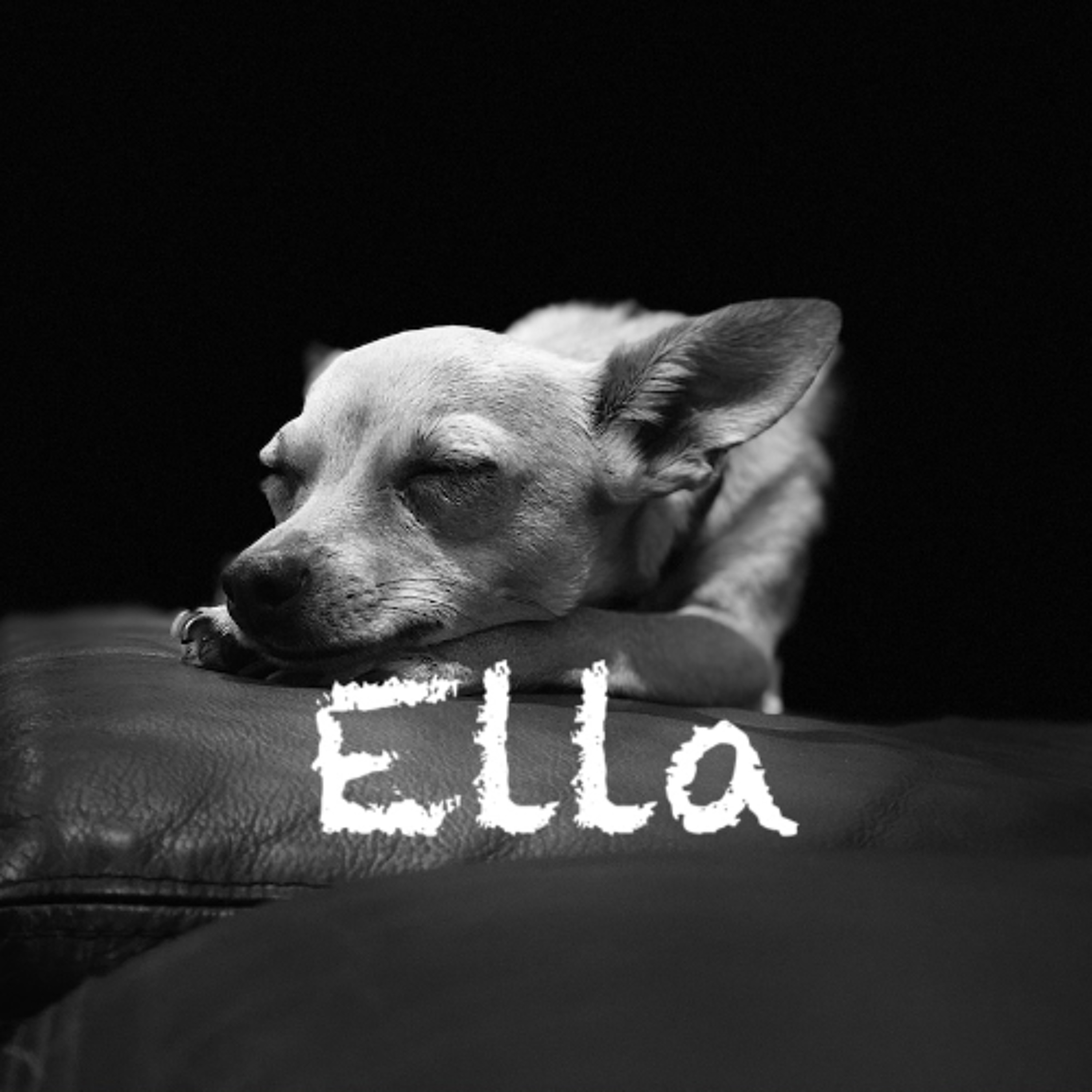 Ella episode artwork