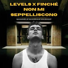 Levels X Finchè Non Mi Seppelliscono PITCHED FOR COPYRIGHT (Samuele Marras Mashup)