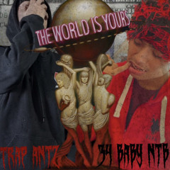 BLOCKBOY 956- POP OUT THE CUT ft @trapantz ( official audio )