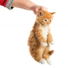 fkusay（one way remix）+prod.prodgelo