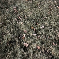 My 9ine Vicious (prod. vxrs)