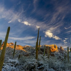 ARIZONA