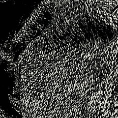 Thank You Feat. Shaquore Nicely