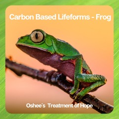 Carbon Based Lifeforms - Frog (Oshee´s Treatment of Hope)preview