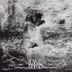 PREMIERE: Realitycheck - Last Call [Cane Corso]