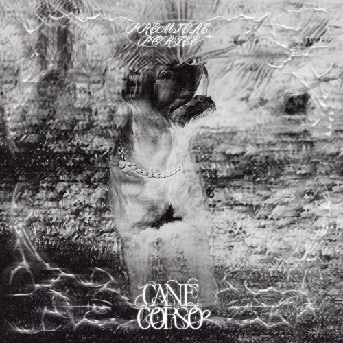 PREMIERE: Realitycheck - Last Call [Cane Corso]