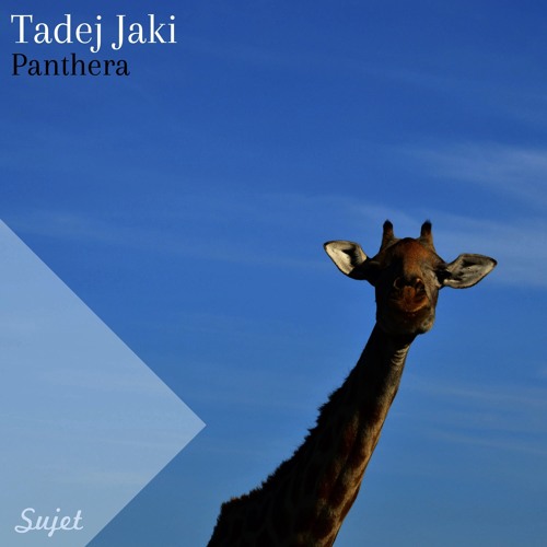 Panthera (Midnight Remix) - Tadej Jaki
