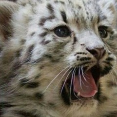 jeremiah voice message to his mother #3