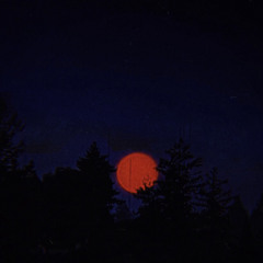 bloody moon (prod. davy)