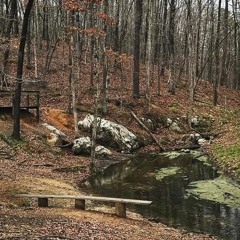 Candle at Night (Practice) 3/31/22