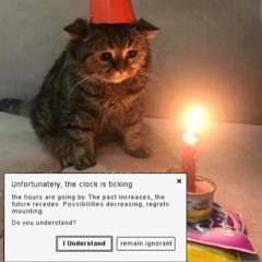 howard stern's merkin