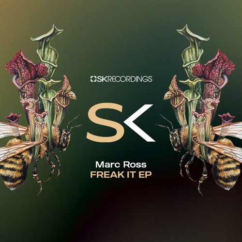Marc Ross - Freak It  (Original Mix)