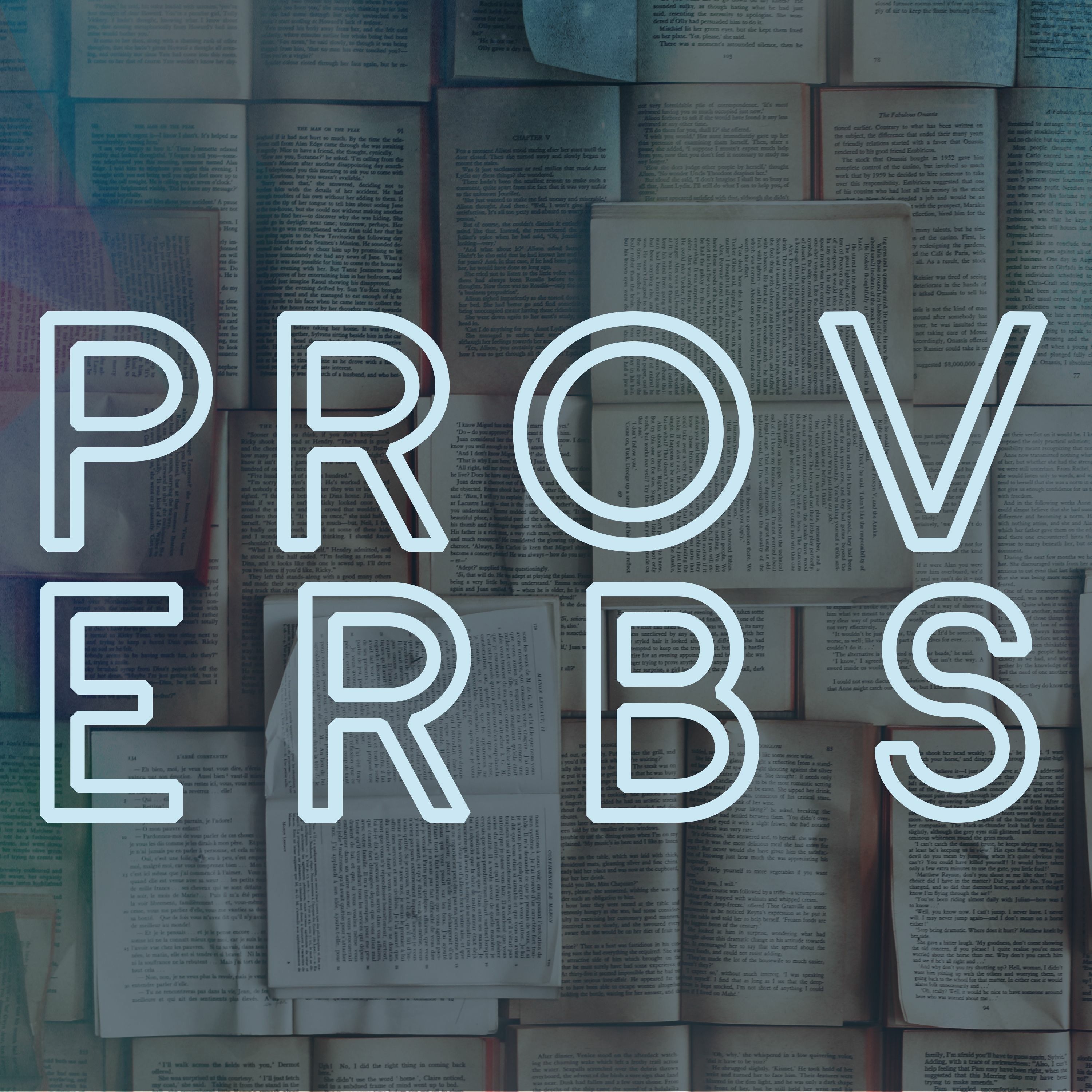Christ Delights in His People // Proverbs 8 episode artwork
