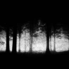 PREGNANT // FIRST ARSCH