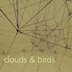 She Is Mine (clouds and birds)