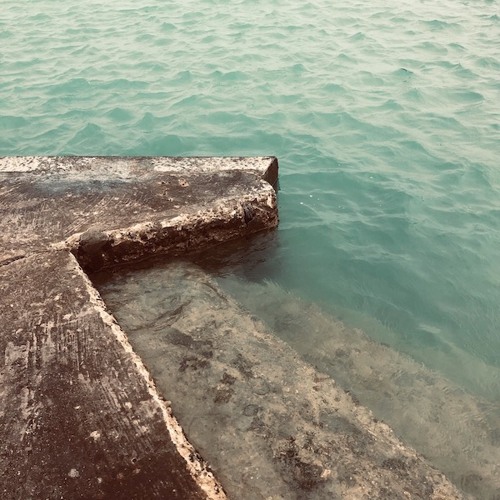 Appetite For Selection 087 - Charles Webster