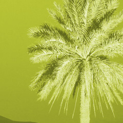 Afro House Pat FM DJ Set - Vol 3 - Summer 2025 (Hugel, GROSSOMODDO, Nitefreak, Aaron Sevilla)