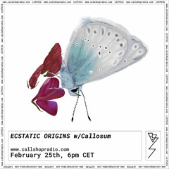 Ecstatic Orgins with Callosum 25.02.22