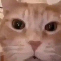 kreevv - idiota.zao (bass boost)