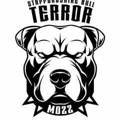 FRAGGLESHOCK PRESENTS MOZZ ON TOXIC SICKNESS / MAY / 2020