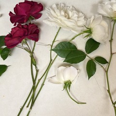 Hurt And Heartbroken - Freestyle | (prod. by DBBeats)