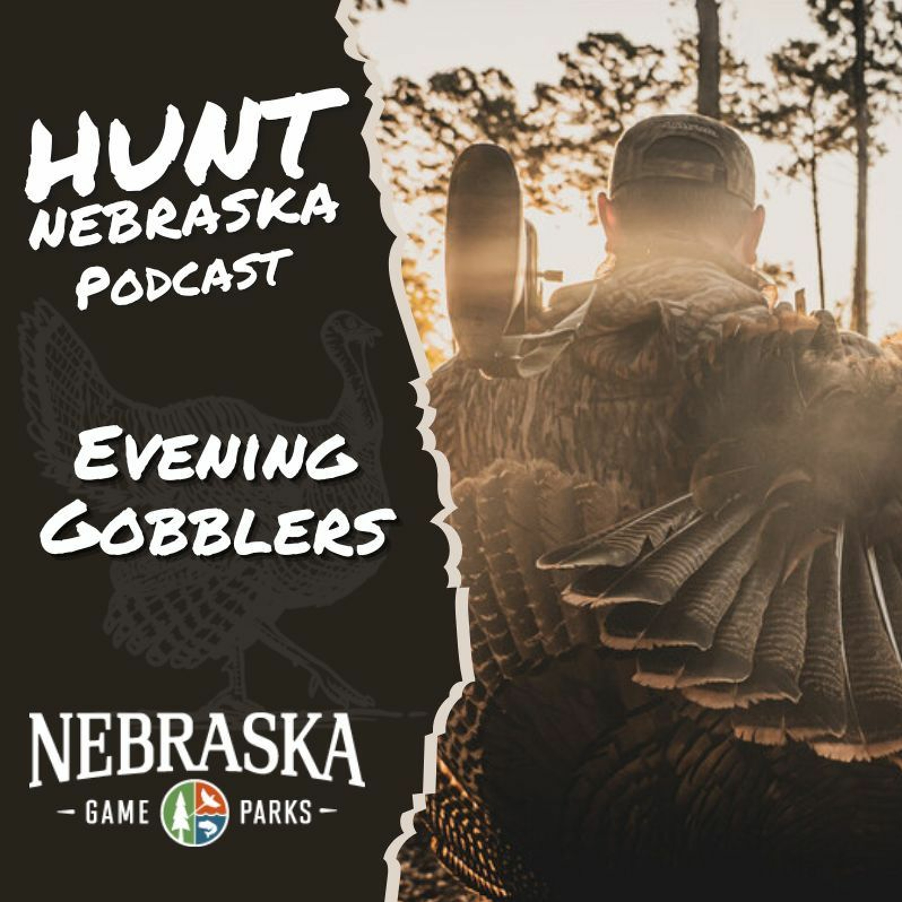 Hunting Evenings & Banning Sundays