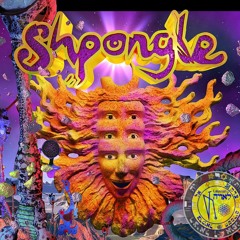 Mini Set Shpongle - Divine Moments of Truth, Progressive, Psytrance