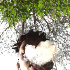 I SMOKE NOBODY (Ville diss)