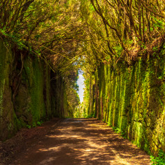 Fantasy-/Märchen "Lorbeertraum" von Ulrich Papke