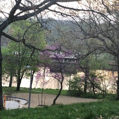 love and some verses