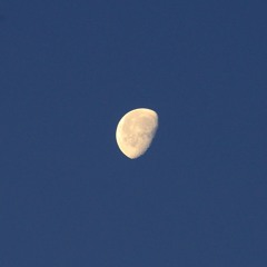 Last Quarter Moon