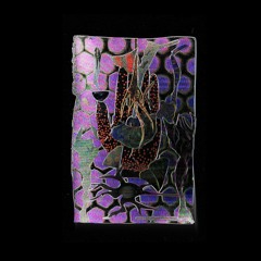 Bravo Tounky - Hoste #5 W- Fen Touchemoulin | Root Radio 02/01/2022