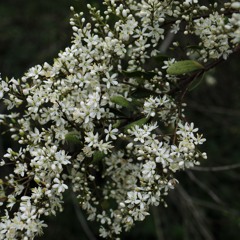 2025-12-07-TheDoctrineOfGodRevealedThroughChrist-Pt11z