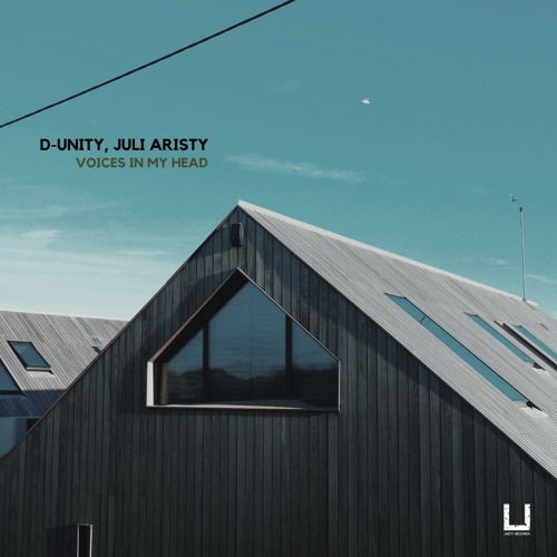 D-Unity, Juli Aristy - Voices In My Head (Original Mix) (NFT)