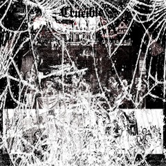 CRUCIBLE
