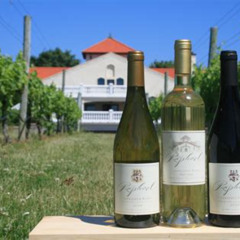 Review Special Price Long Island Winery Tour With Lunch From Manhattan (#1 Rated!)