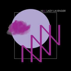 NI46 | Lady Lavender