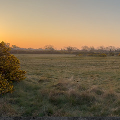 Skylarks, Middlewick Ranges, Colchester, Essex - 5th April 2025