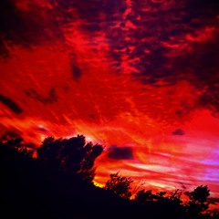 Contemporary Dedication