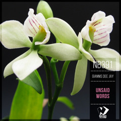 Copy of Related tracks: Giannis Dee Jay - Unsaid Words (Original Mix)