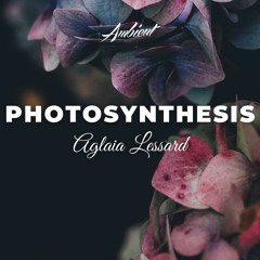Aglaia Lessard - Photosynthesis