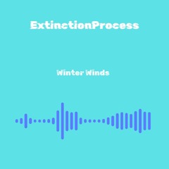 Winter Winds