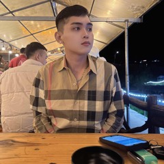 NST - CON NGUA TRANG HBB