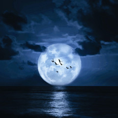 Midnight
