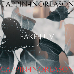 FAKE LUV (Official Audio)