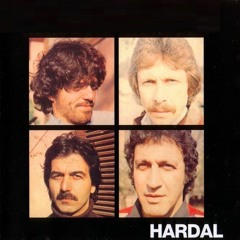 Hardal - Beni Anlayamazsın Şimdi